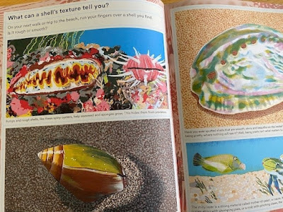 What a Shell Can Tell book inside illustrations