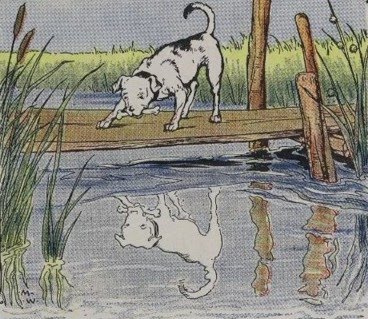El perro y el reflejo en el río