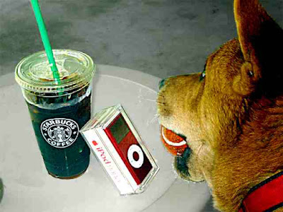 Starbucks Coffee, $2.55; Apple iPod, $249; our dog Chowderhead, priceless