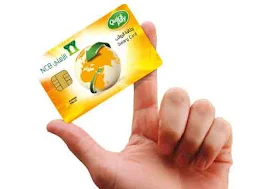 SALARY CARD FOR DOMESTIC WORKERS IN SAUDI ARABIA