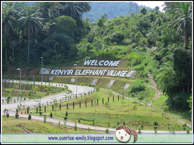 All about Elephants @ Kenyir Elephant Village, Terengganu