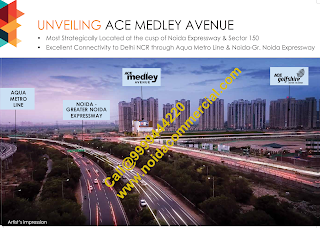 Ace Medley Avenue Price