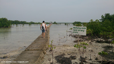 Olango Island in Cebu travel diary marine sanctuary board walk 4