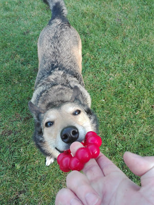 kong ring