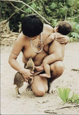 breasfeed on ... Weird News: Awa-Guaj�: The indigenous women who breastfeed animals
