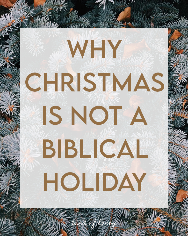 Image is a close up shot of a pine tree with a few light orange/brown leaves in it - text over the image reads Why Christmas is not a Biblical holiday | Land of Honey