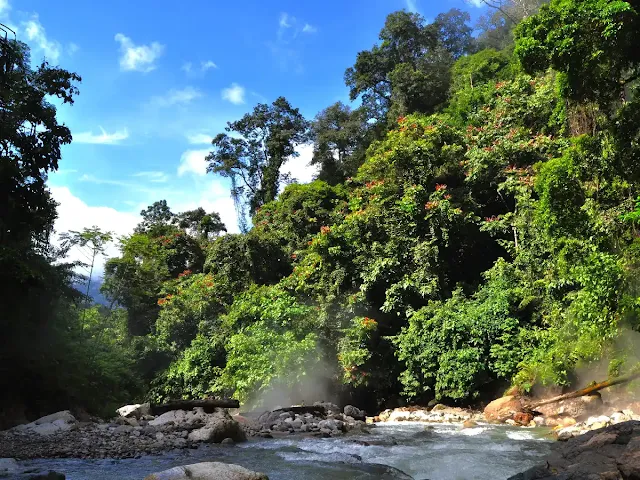 ketambe mount leuser