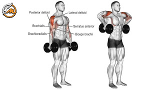 Dumbbell-Only Shoulder Workout For Boulder Shoulders