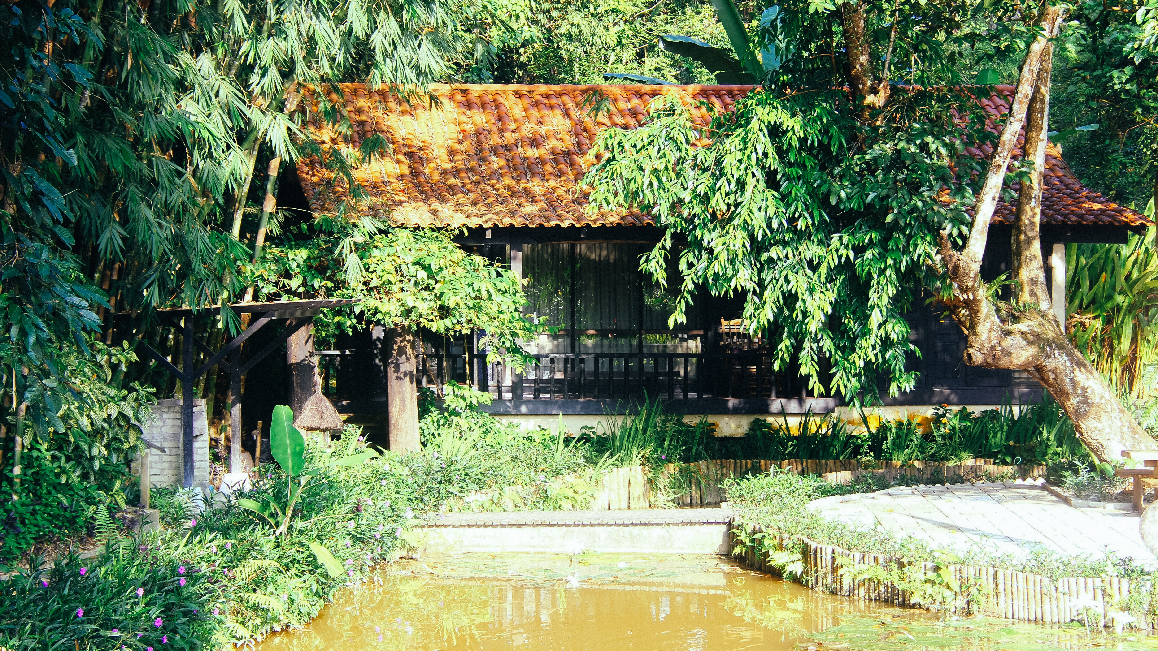 Danau Daun Chalet, Janda Baik