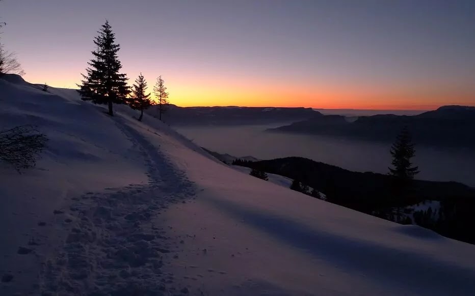 Understanding the Winter Solstice A Celestial Phenomenon