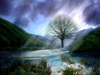 Wallpaper Free on Background Hd Wallpapers Desktop Wallpapers Free Stock Photos