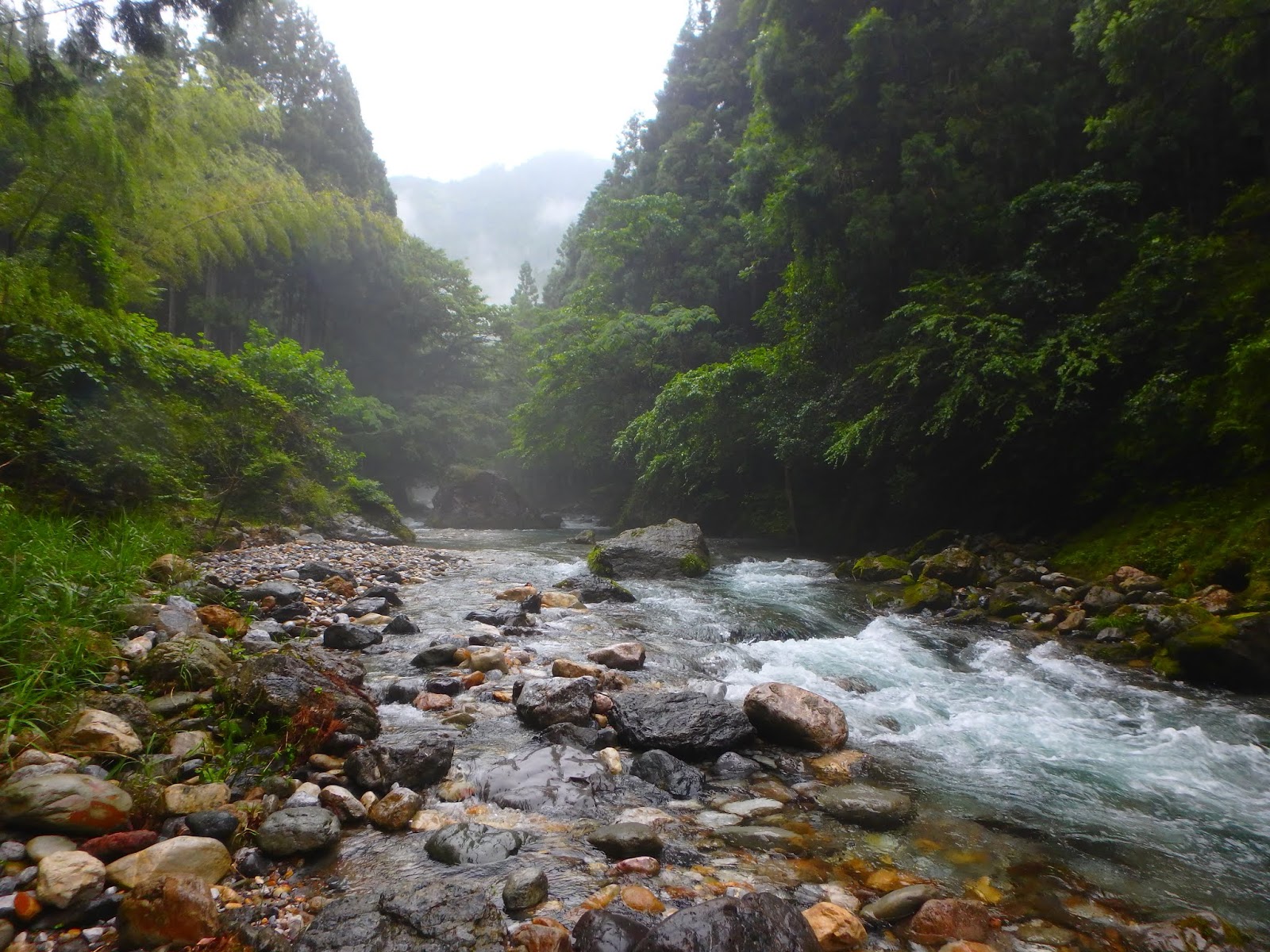 この川をさかのぼり 雨の美濃 神崎川アマゴ釣行