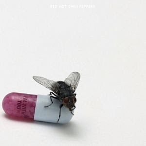 Red Hot Chili Peppers I'm With You descarga download completa complete discografia mega 1 link