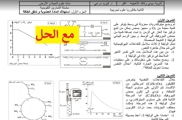 سلسلة تمارين في استهلاك المادة العضوية و تدفق الطاقة مع التصحيح