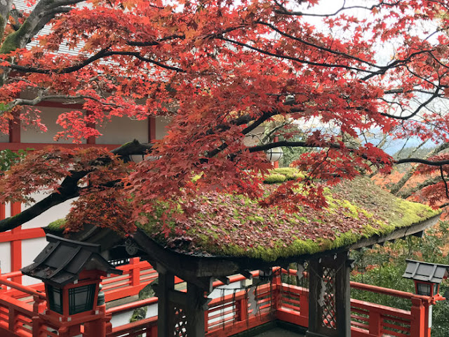 鞍馬寺から貴船神社