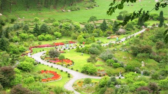 The garden of morning calm