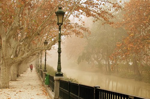 Y sigue la niebla...