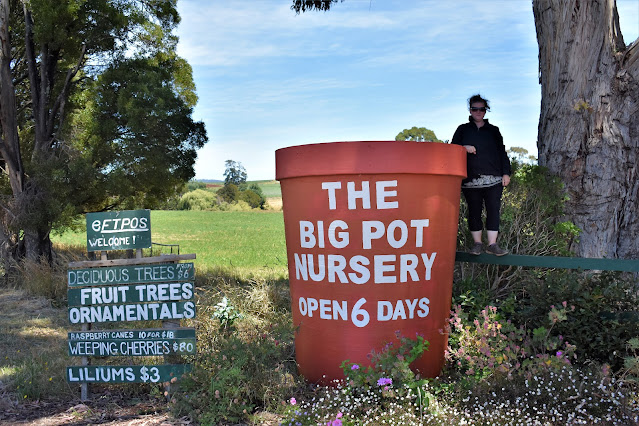 The BIG Pot Nursery in Melrose, Tasmania