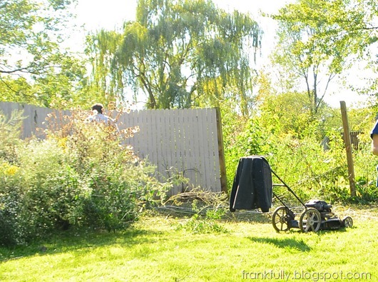 taking down the fence