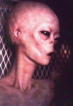 Foto Asli Alien