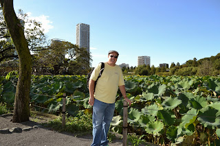 Lotus Pond, Ueno Park - www.curiousadventurer.blogspot.com