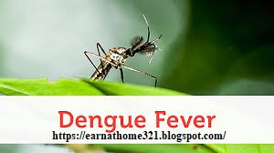 Symptoms of Dengue Fever | What are the warning signs of Dengue |