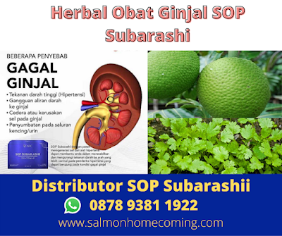 Herbal Obat Ginjal SOP Subarashi, WA 0878 9381 1922