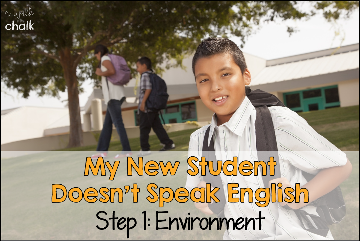 My New Student Doesn T Speak English Part 1 Environment A Walk In The Chalk