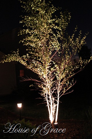 2011 05 17_5170