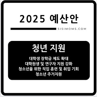 2025 청년 예산안