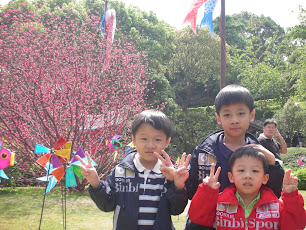 Three Brothers Growing Up