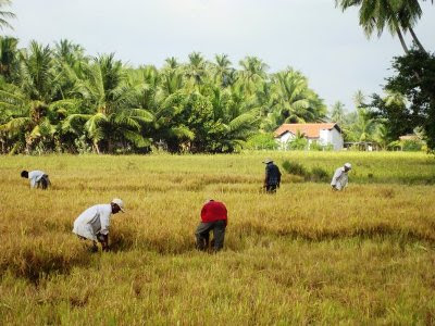  தம்பலகாமம் 