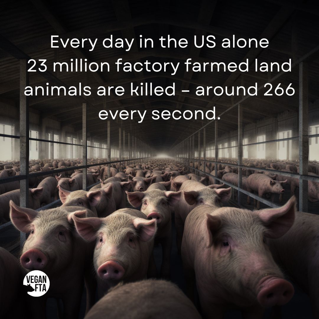 Factory Farming: Animal Cruelty
