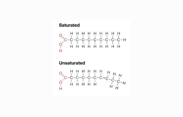Saturated and Unsaturated Lipids (Fats)