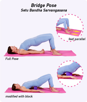 Bridge Yoga Pose2