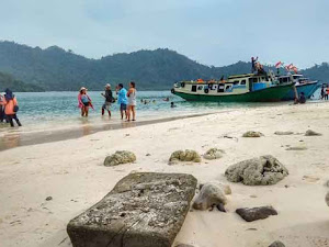 Keindahan Biota Laut di Pulau Sebuku Lampung