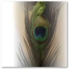 clip_image001