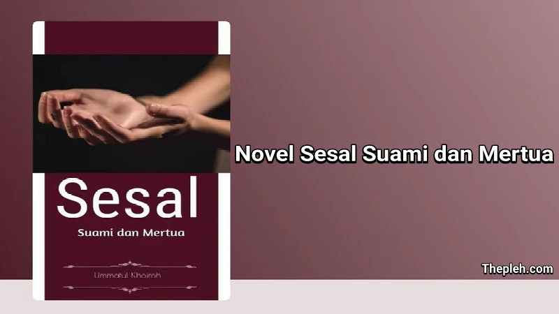 Novel Sesal Suami dan Mertua Gratis