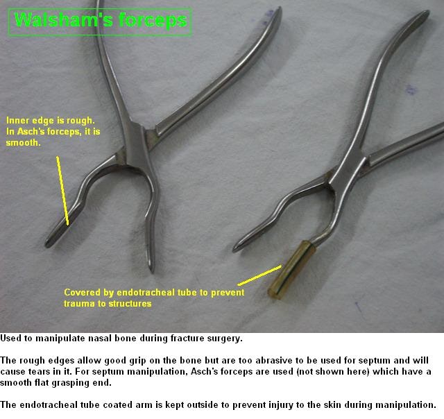 4th Year Ent Instruments