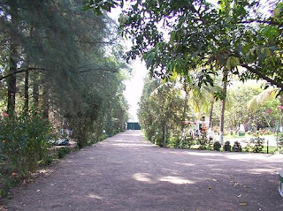 The Walkway in Pinewood resort