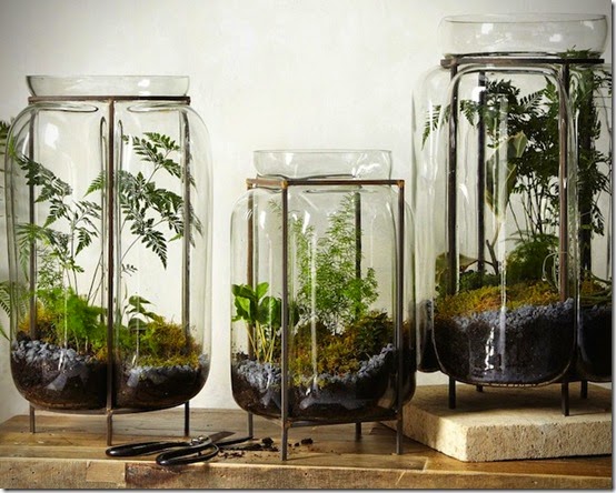 Product-Guide-10-Design-Based-Terrariums-For-Your-Home-2