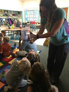 Observing a luna moth caterpillar 