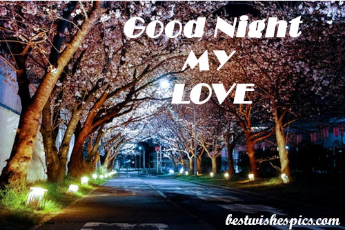 Latest Best Good Night Images