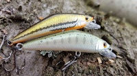 Smith D-contact lures for trout