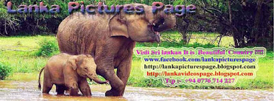 http://lankapicturespage.blogspot.com/