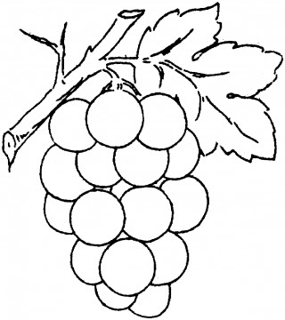 Download Free Grapes Coloring Pages