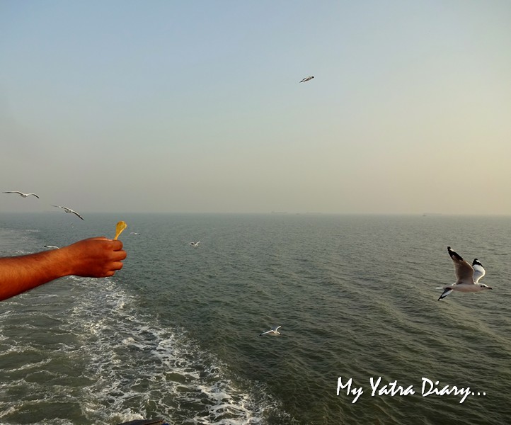 Seagulls fluttering behind the M2M Ro-Ro ferry Mumbai to  Alibagh