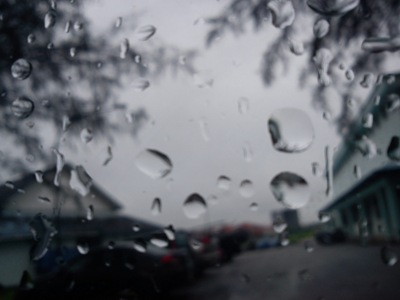 DSC00261