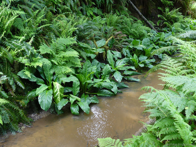 flowing water