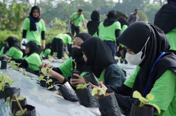 Rekor MURI, Farmasi UII dan Herbangin Tanam Seribu Bibit Habatussauda